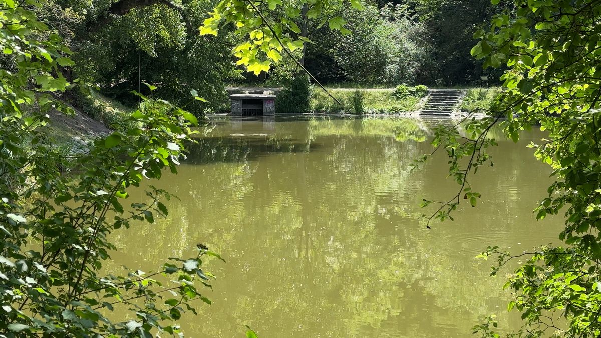 V rybníku v Praze se utopil chlapec